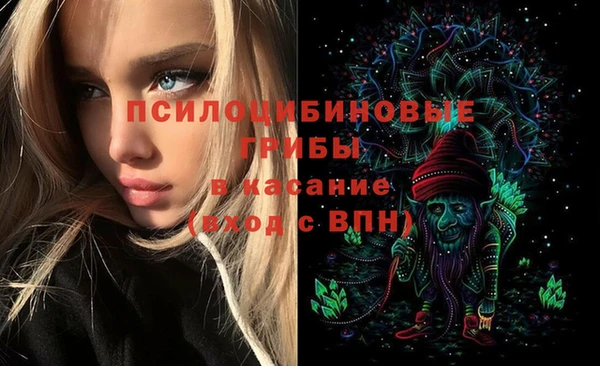 дживик Алзамай