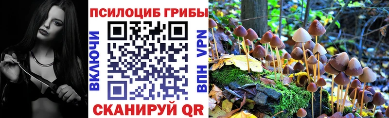 Псилоцибиновые грибы Cubensis  Нефтекамск 